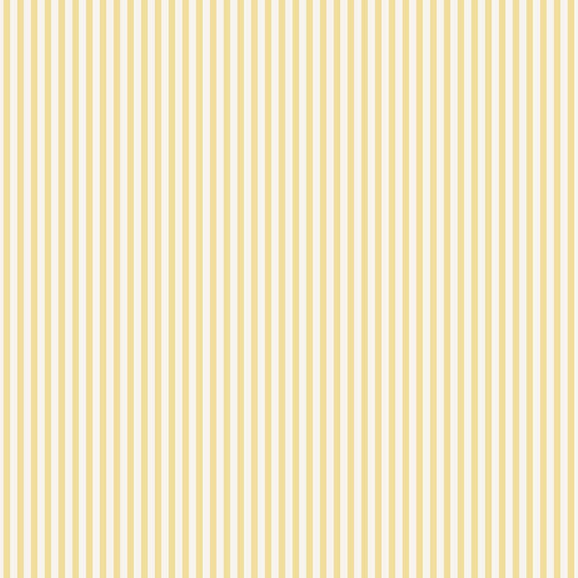 Shirt Stripe