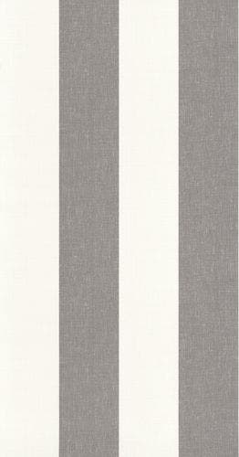 RAYURES CHARBON LES RAYURES