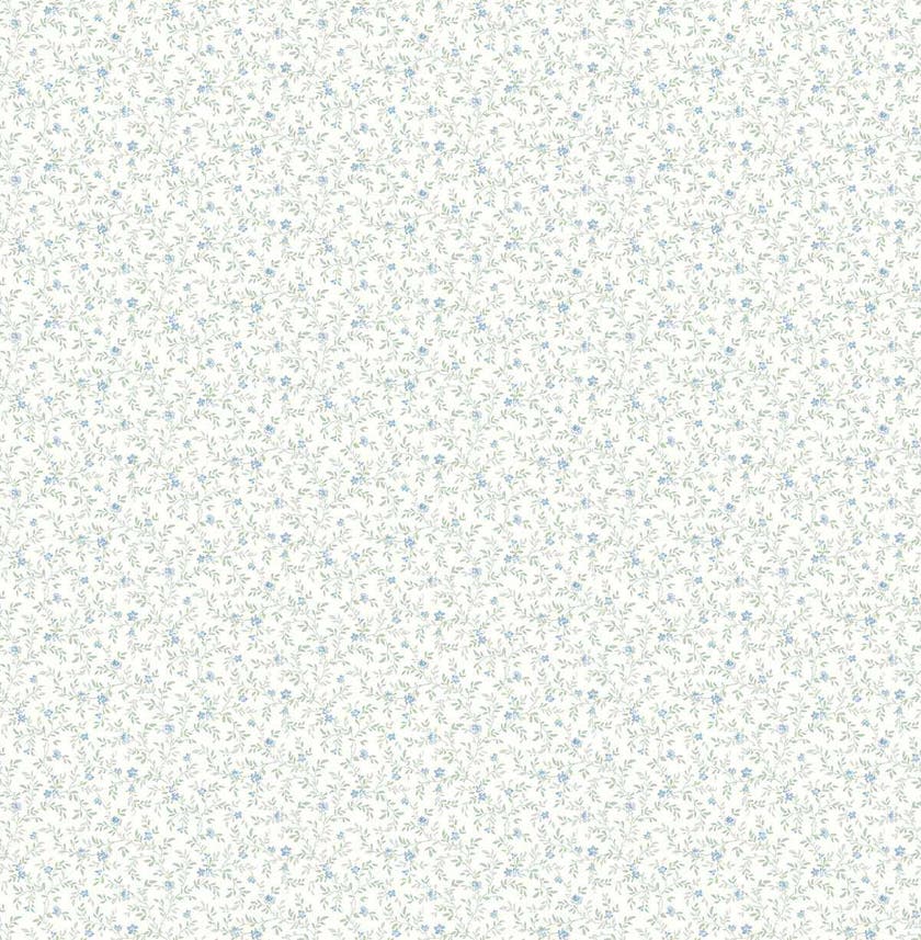 Carma - Alice & Rose