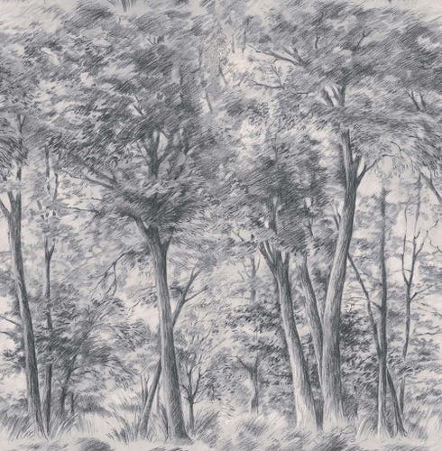 Boråstapeter - Sketch of Trees