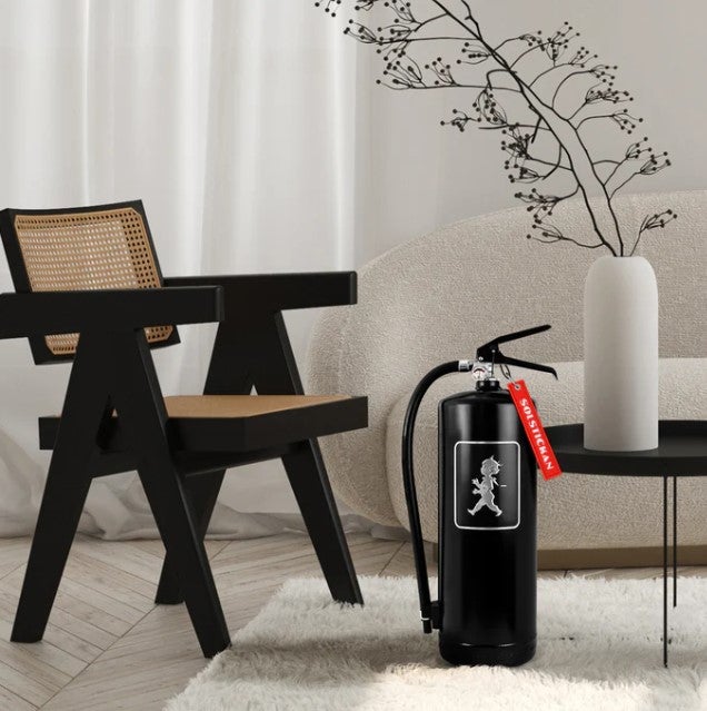 Brandsläckare 6 kg Svart/Silver