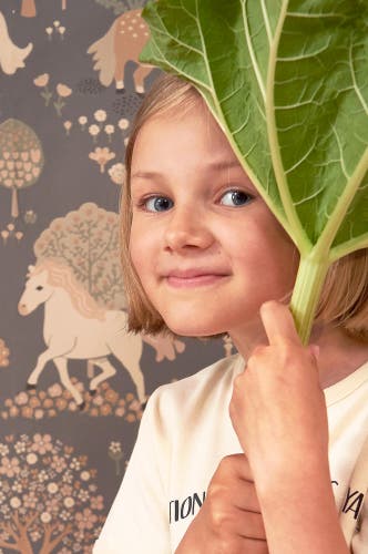 Majvillan - My sweet pony Vintage Journey