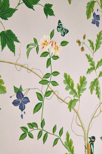 Sanderson - Sycamore and Oak Botanica Arboretum Wallpapers