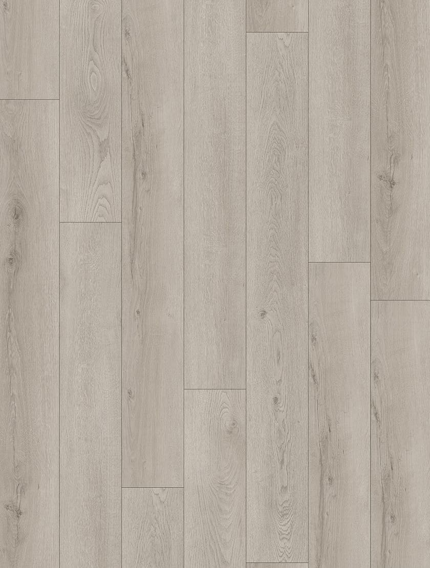 Softstep SYNQ Beluga