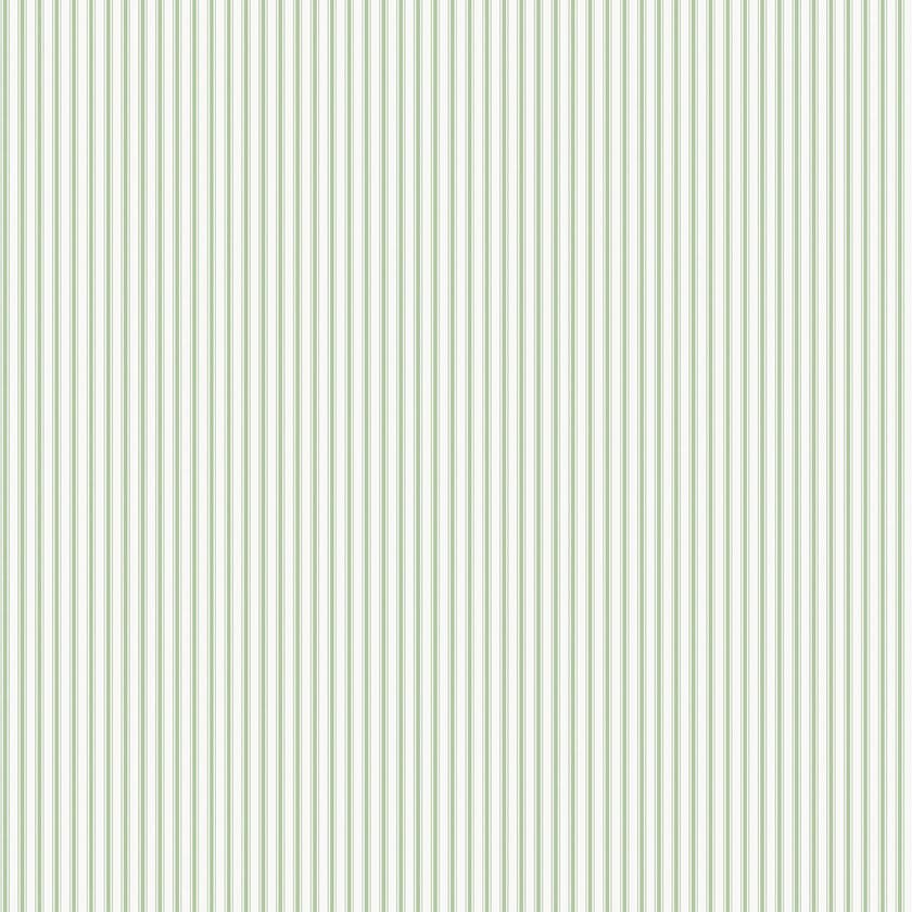 Ticking Stripe
