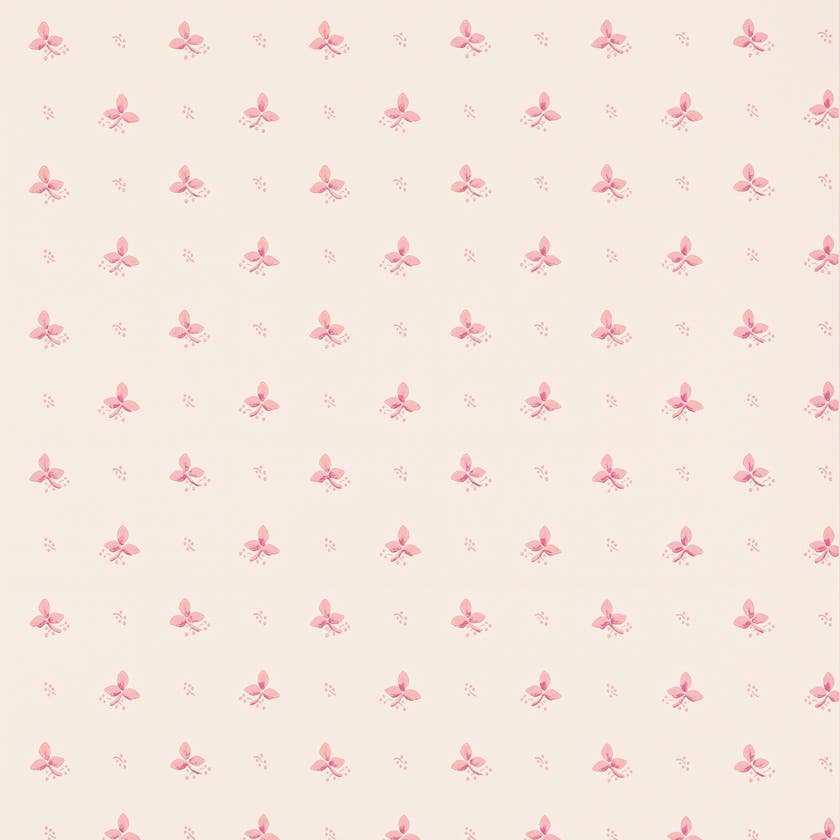 Colefax and Fowler - Ashling Rasp