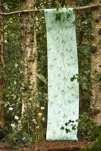 Sanderson - Fruit Aviary Duck Egg/Mul Country Woodland Wallcove