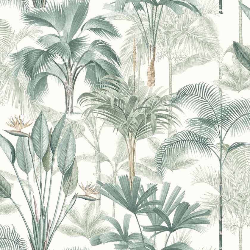 King Palm Green