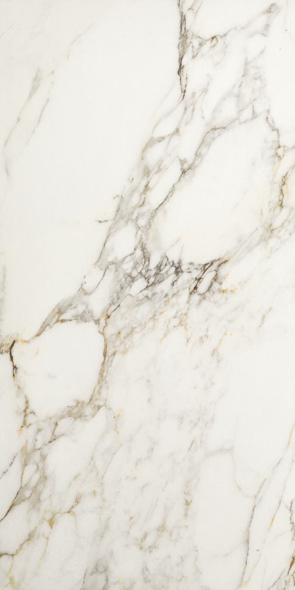 Invite Calacatta gold 60x120 såg