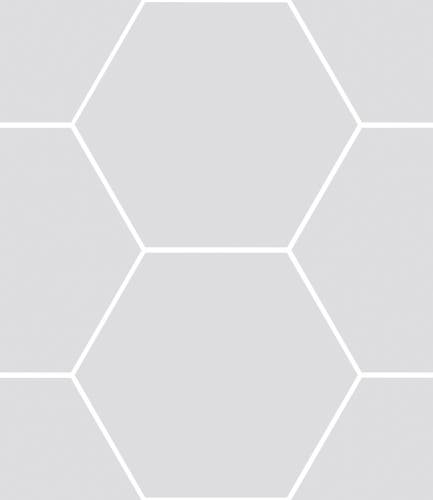 Haze Silver matt hexagon 15x17