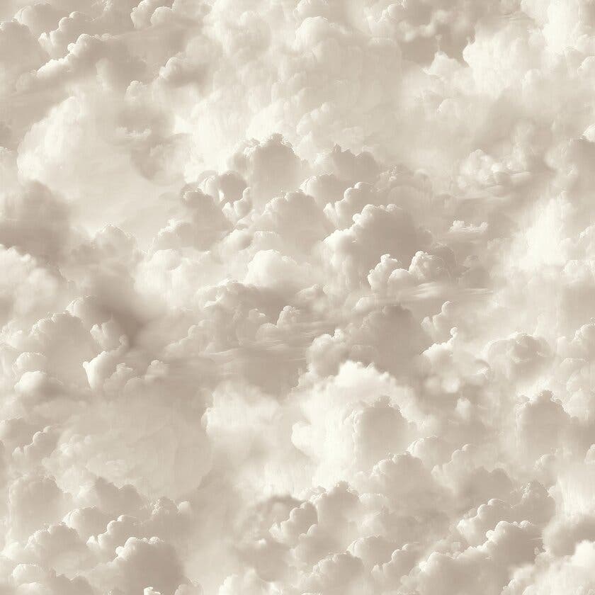 Vanilla Skies Neutral