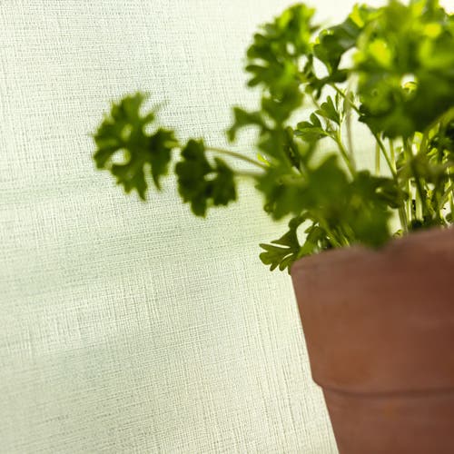 Caselio - Uni Mat Vert D Eau