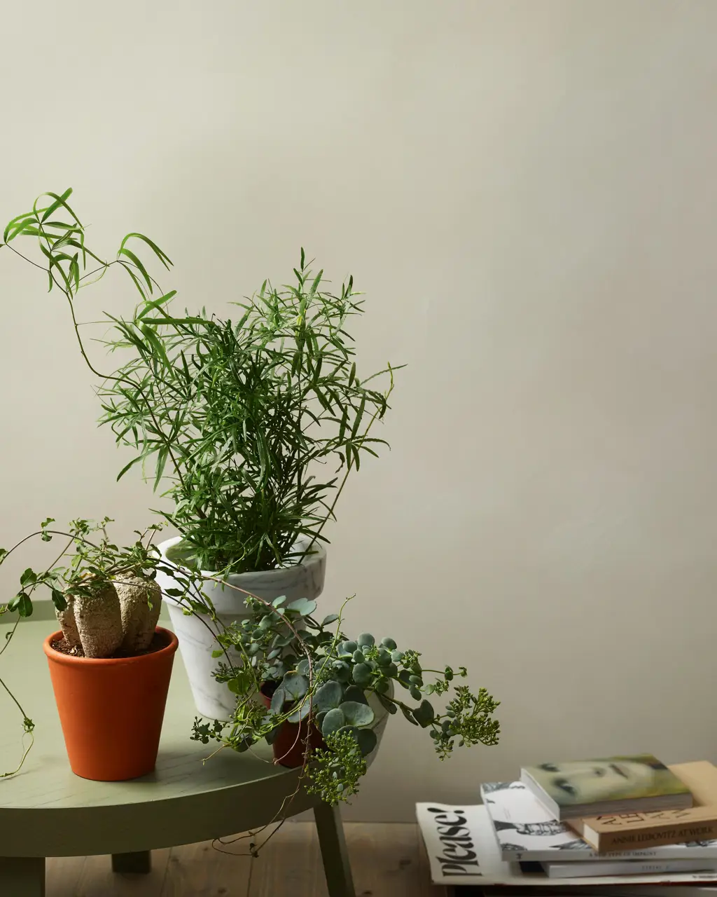 Kalkgrå 10342 - Jotun Lady Pure Color 10L