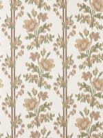 Apothecary Rose Parchment & Olivine