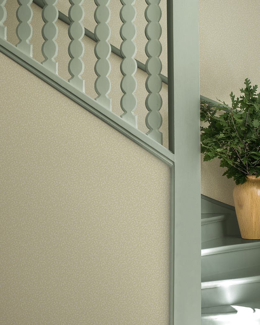 Adam - Midbec Långenäs