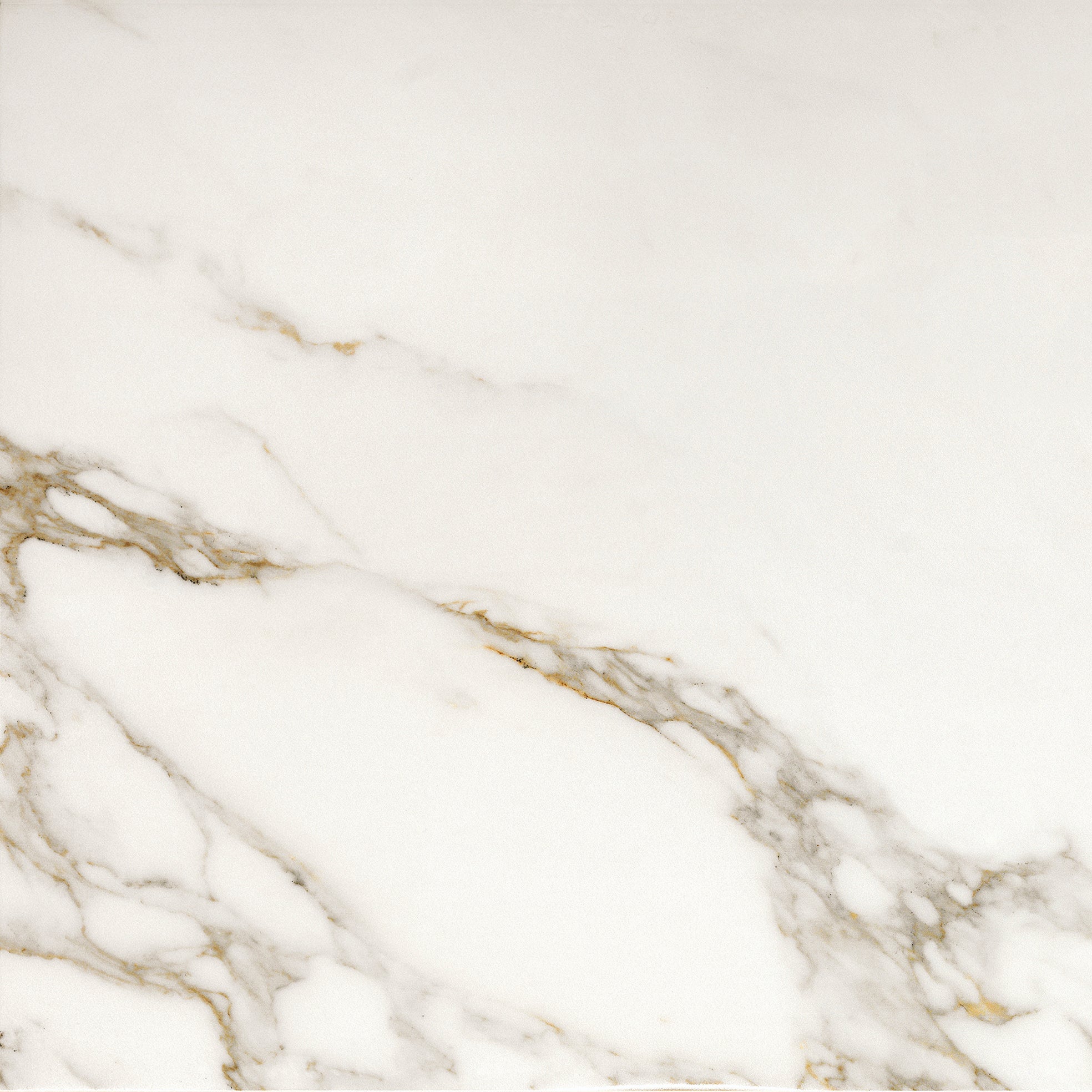 Invite Calacatta gold polerad 60x60 såg