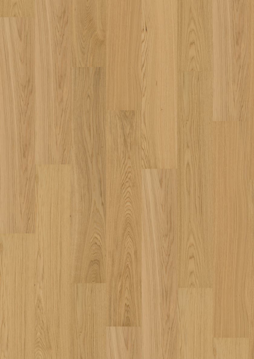 Maxwood Lodge - Ek Natur