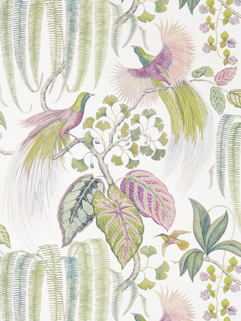 Sanderson - Bird Of Paradise Orchid Glasshouse Wallpapers