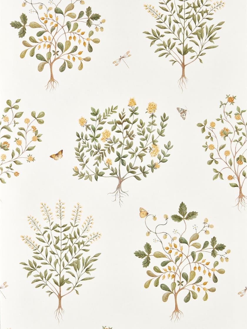 Thyme Walk Lichen/Gooseberry