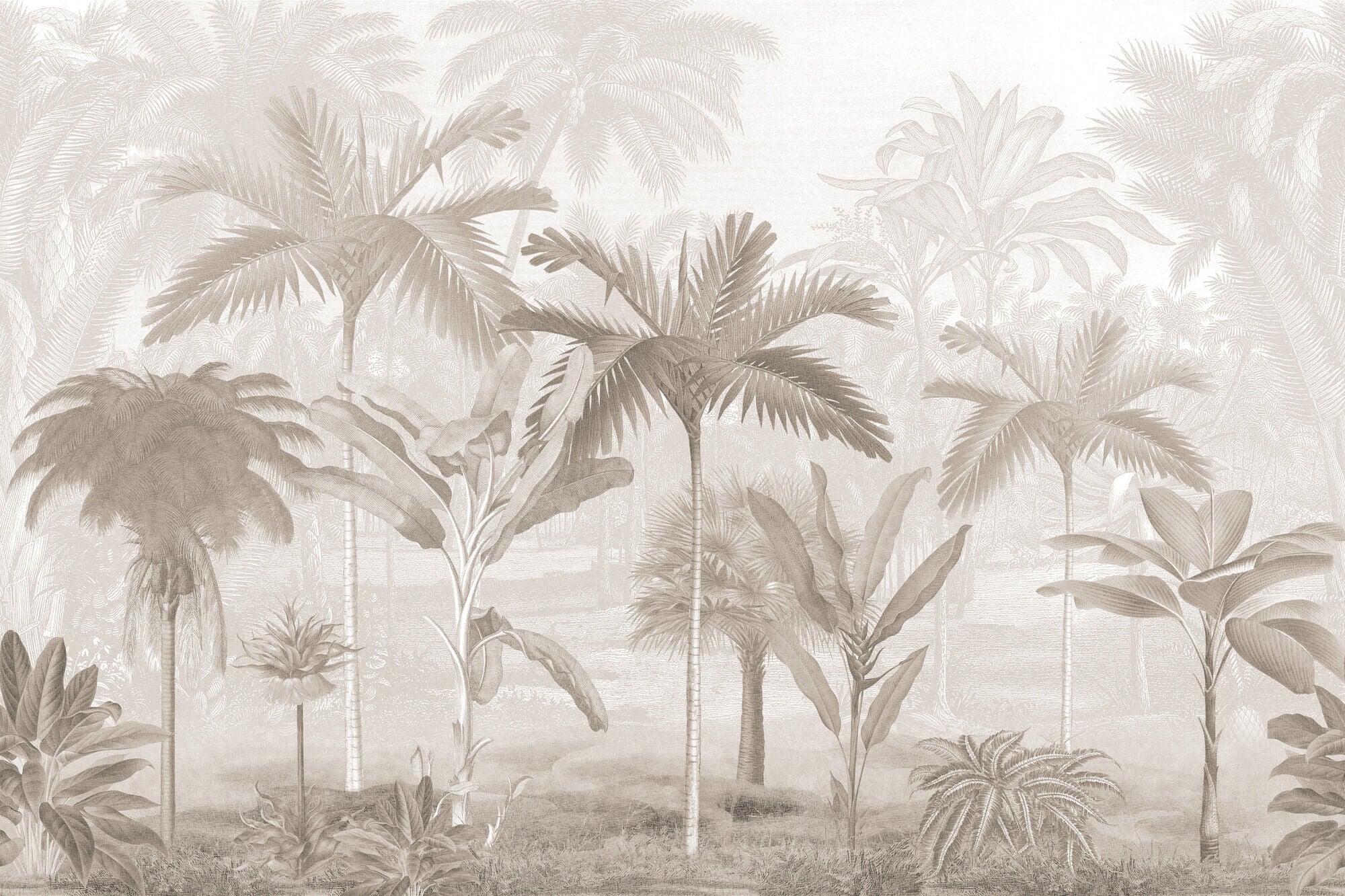Boråstapeter - Vintage Palms