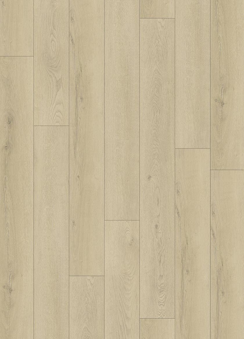 Softstep SYNQ Tryffel