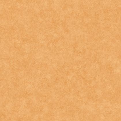 BETON UNI SAVANE BETON 2