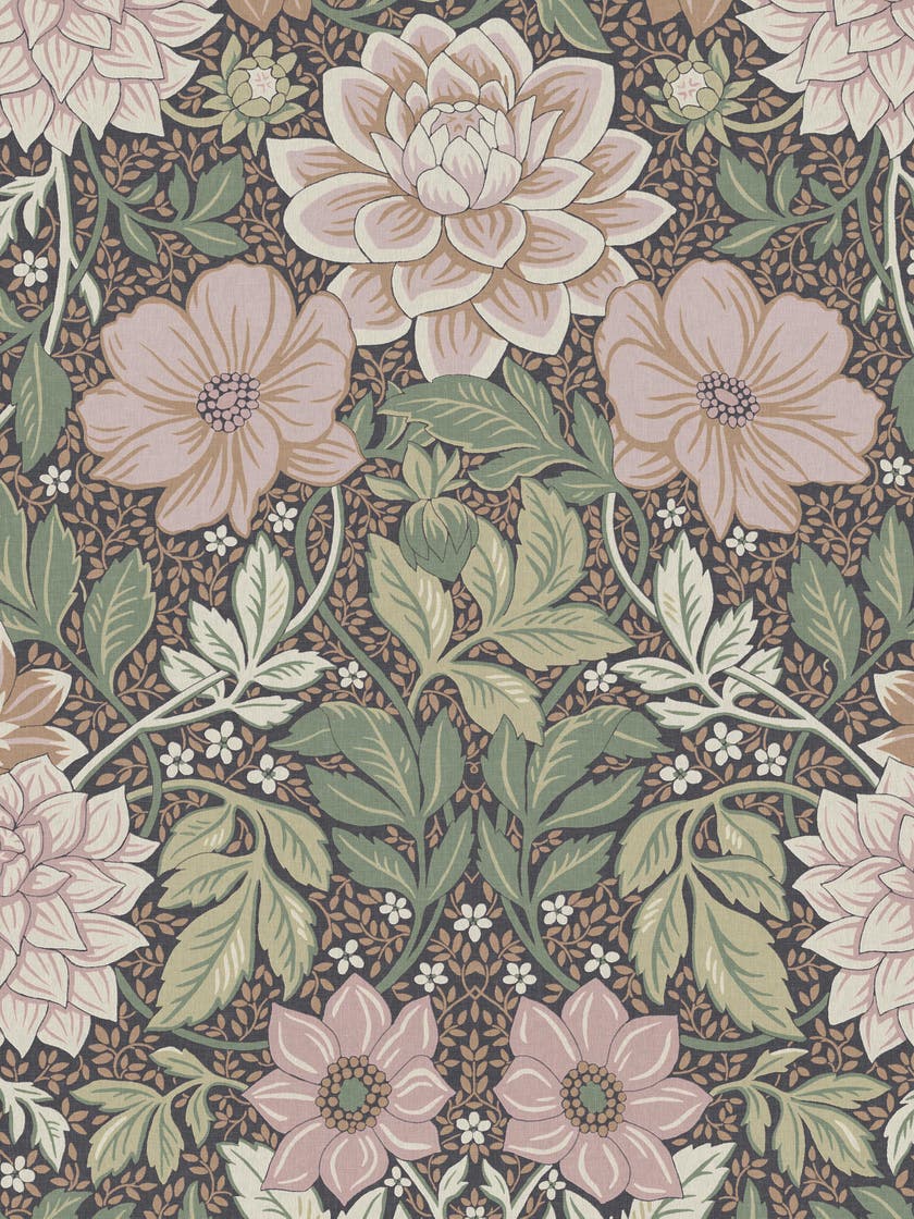 Dahlia Garden Grand