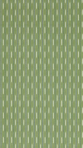 Sanderson - Mudmi Avocado