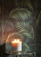 LE TOUT PARIS VERT CANOPE ANNEES FOLLES