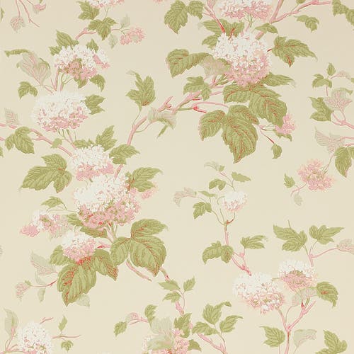 Colefax and Fowler - Chantilly Pink/Green