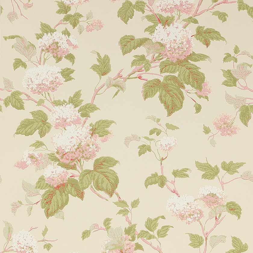 Colefax and Fowler - Chantilly Pink/Green