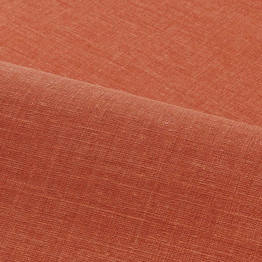 SHINOK ORANGE FLAMBOYANT LE LIN 3