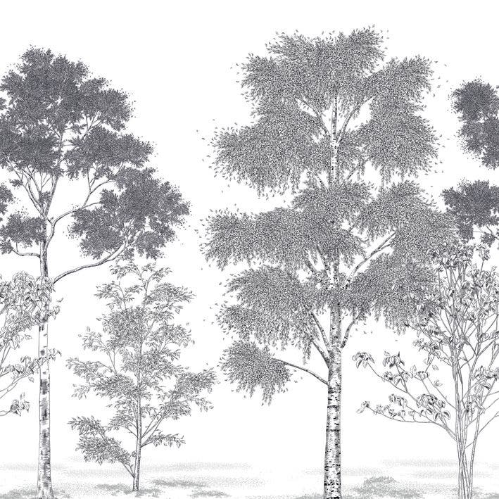 POESIE PRINTANIERE NOIR 2 BALADE