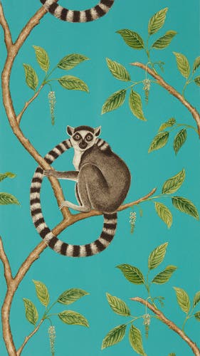 Sanderson - Ringtailed Lemur Ringtail Glasshouse Wallpapers