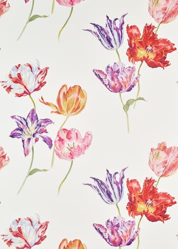 Sanderson - Tulipomania Tulipomania B Glasshouse Wallpapers