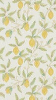 Lemon Tree Bay Leaf Melsetter Wallpapers