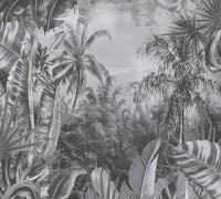 Aruba