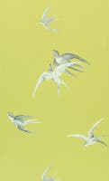 Swallows Lime Sanderson One Sixty Wallp