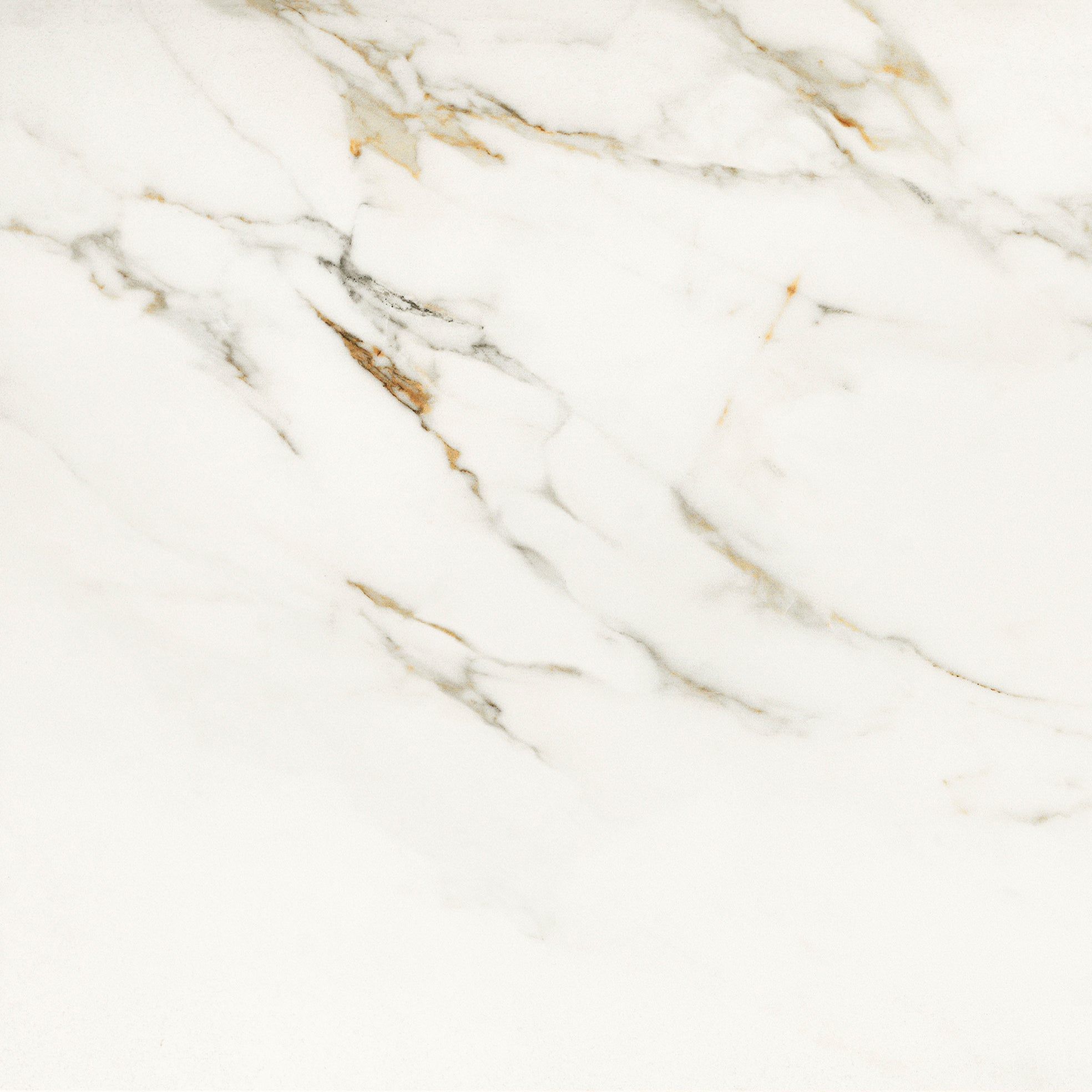 Invite Calacatta gold polerad 60x60 såg