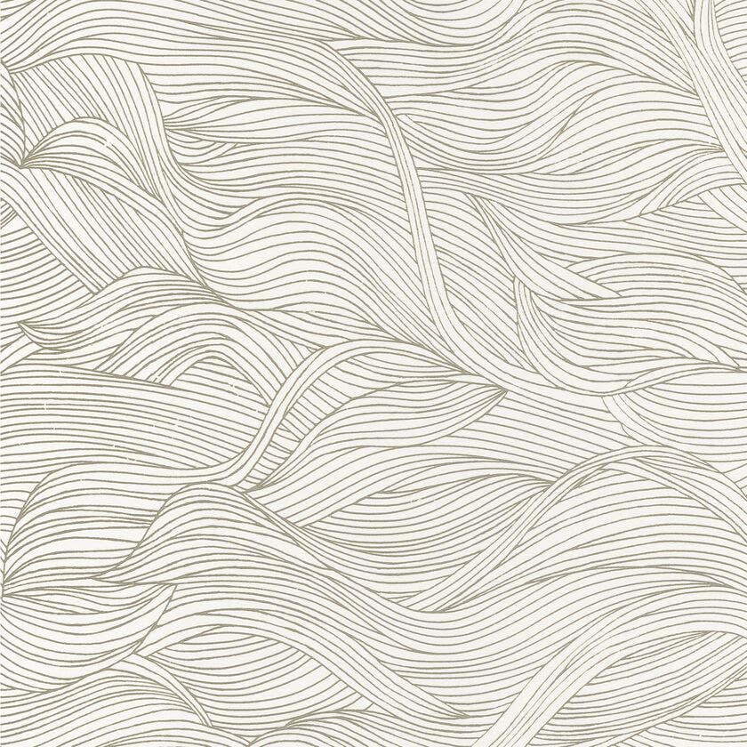ALULA NEIGE SELECT 6