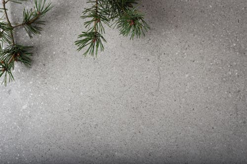 Tundra Silver 30x60 såg