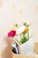 Follow the wind Wish upon your dreams