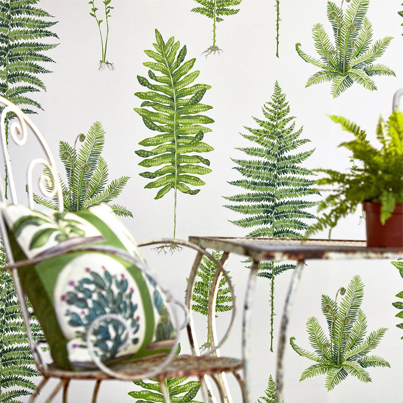 Sanderson - Fernery Botanical Green Glasshouse Wallpapers
