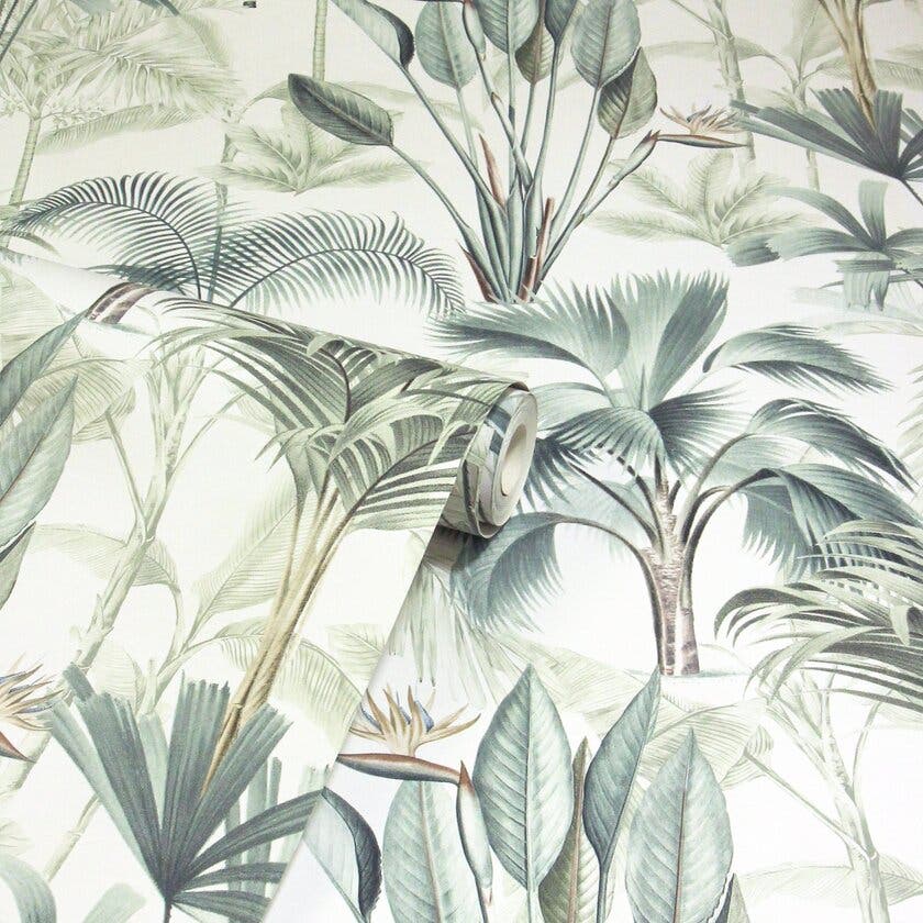 King Palm Green