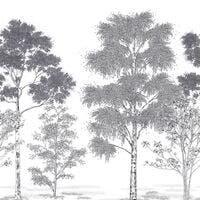 POESIE PRINTANIERE NOIR 2 BALADE