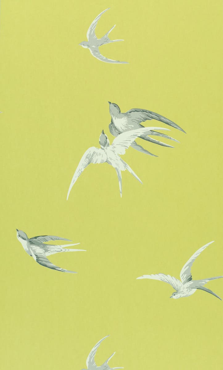 Swallows Lime Sanderson One Sixty Wallp