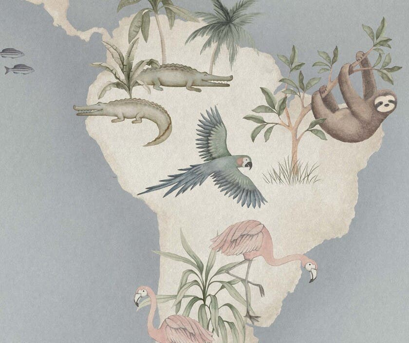 Little Explorer Mural Newbie