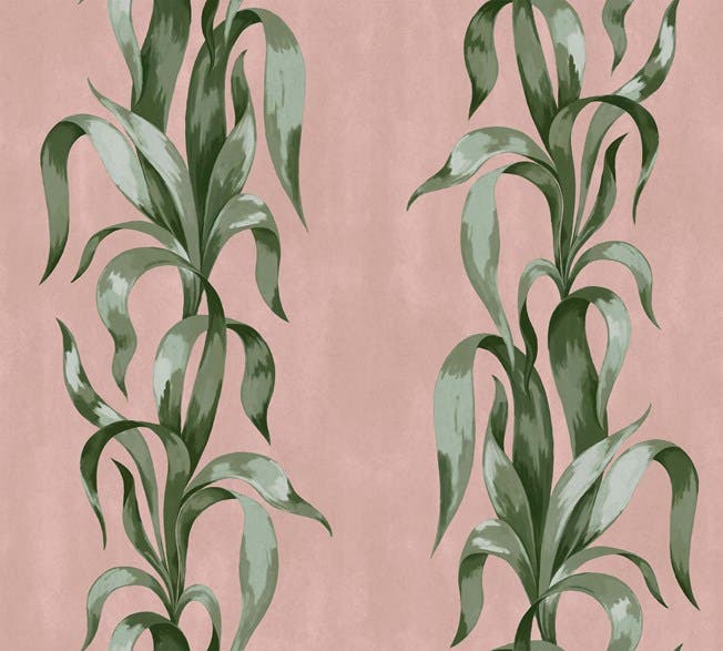 Boråstapeter - Agave