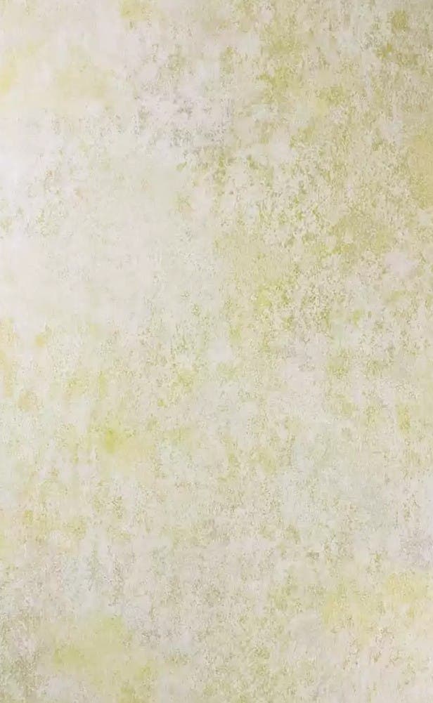 Osborne & Little - Fresco Lemon