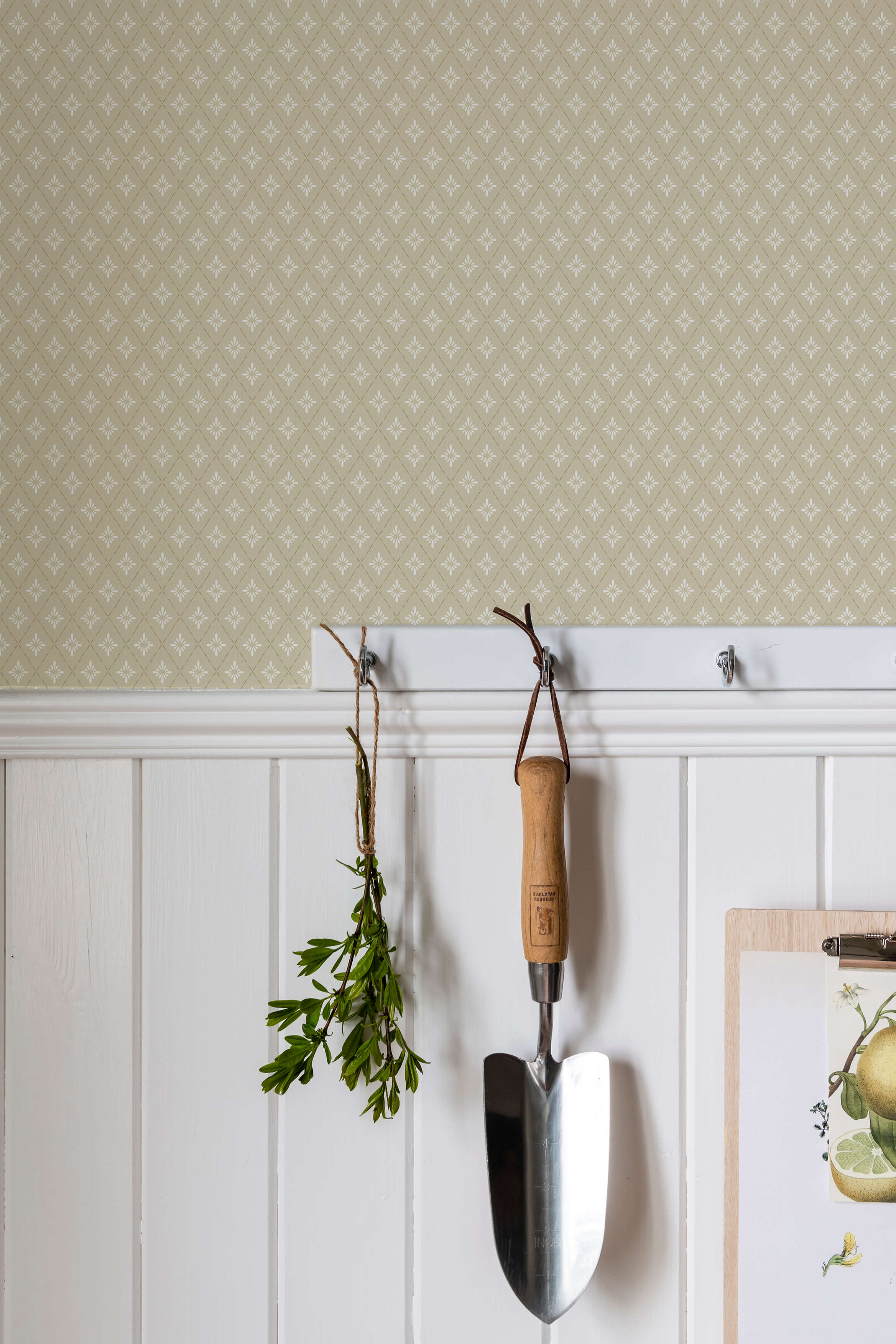 Duro - Lillstjärna, Ljusgul Blommor&Blad